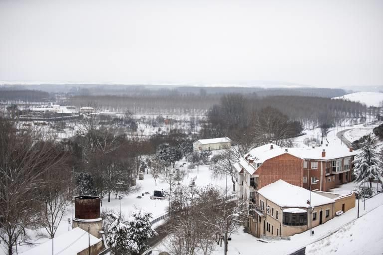 Así ha sido la nevada en Benavente.