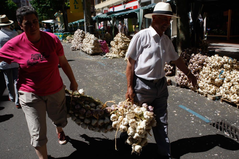 San Pedro 2016: Feria del Ajo