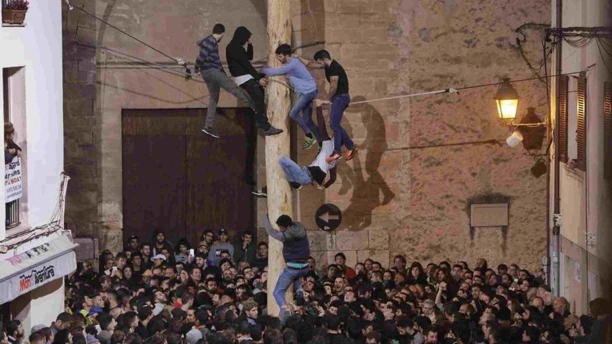 JÃ³venes intentan coronar el Pi de Sant Antoni, en PollenÃ§a.