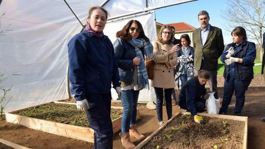 Luisa Piñeiro visita un invernadero. // G. Santos