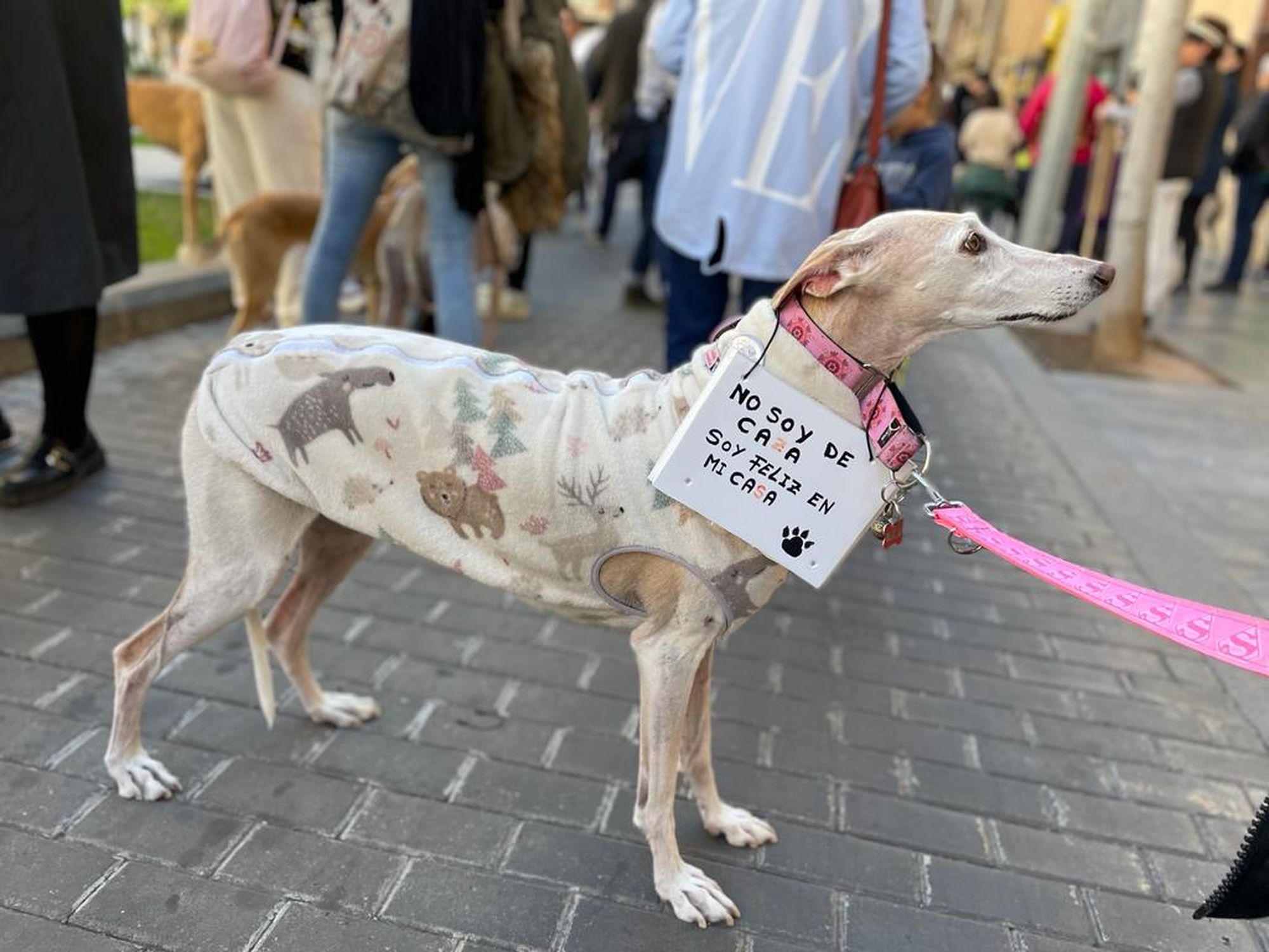 1.000 personas piden el fin de la caza en Castelló