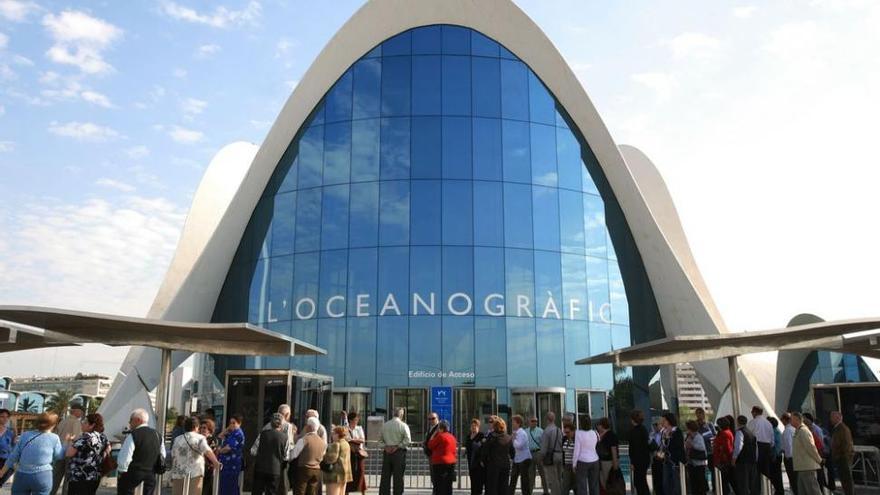 El Oceanogràfic bate récords con más de 61.000 visitas en siete días