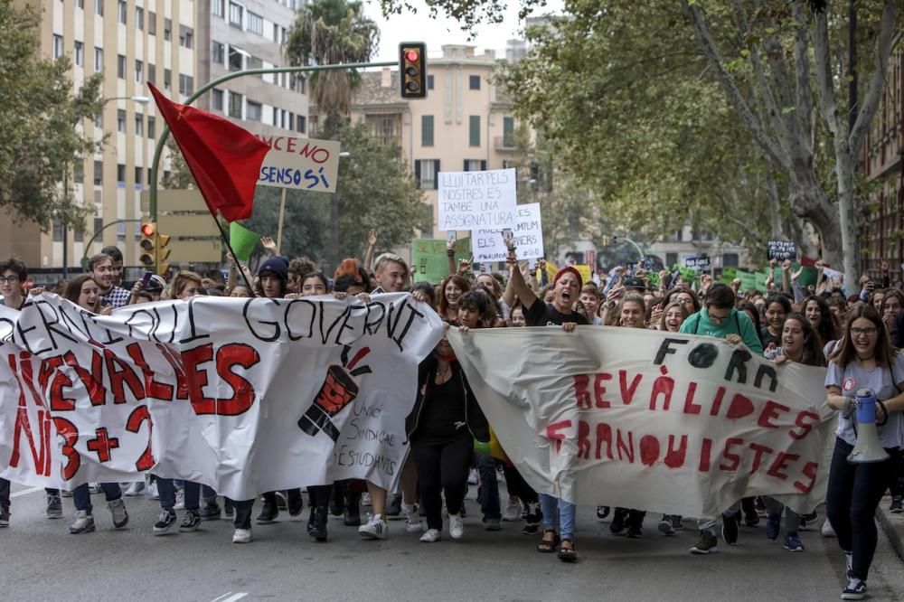 Manifestación de estudiantes en Palma contra la Lomce y las reválidas