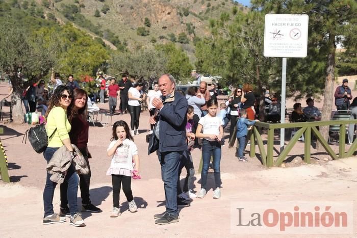 Romería de La Hoya (II)