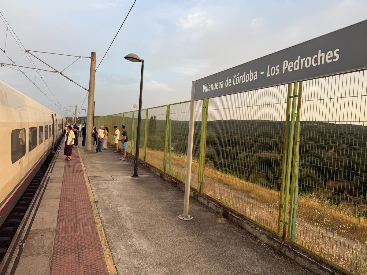Uno de los trenes de alta valocidad parados por la incidencia en la red ferroviaria