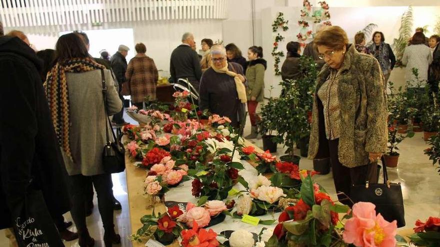 Público en la tercera edición del certamen de la camelia de Luarca.