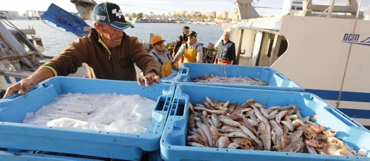 Los pescadores reclaman poder capturar más atún rojo y menos boquerón
