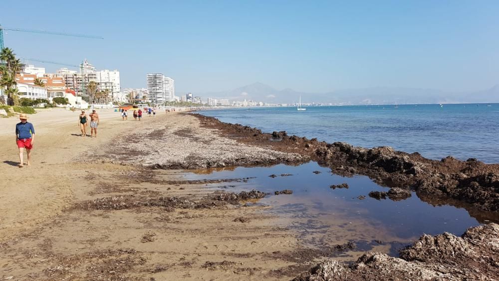 Meteorología prevé un otoño más cálido de lo normal con un último fin de semana tórrido en Alicante