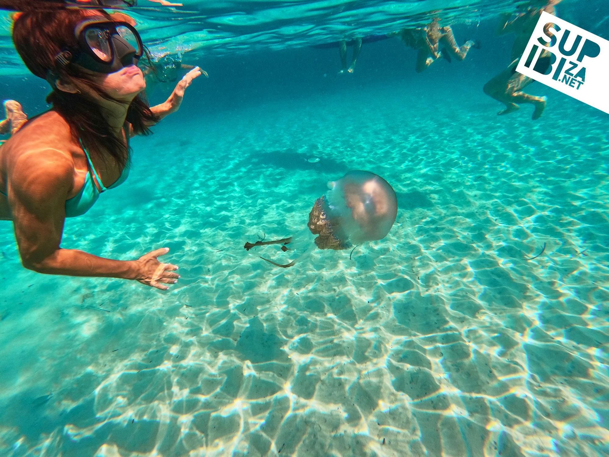 Un grup de turistes es troba meduses i s'enregistra amb elles