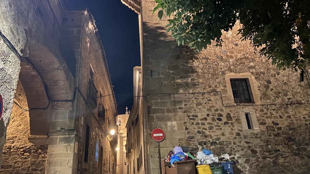 Contenedores a rebosar junto a la Torre de Espaderos, en la parte antigua.