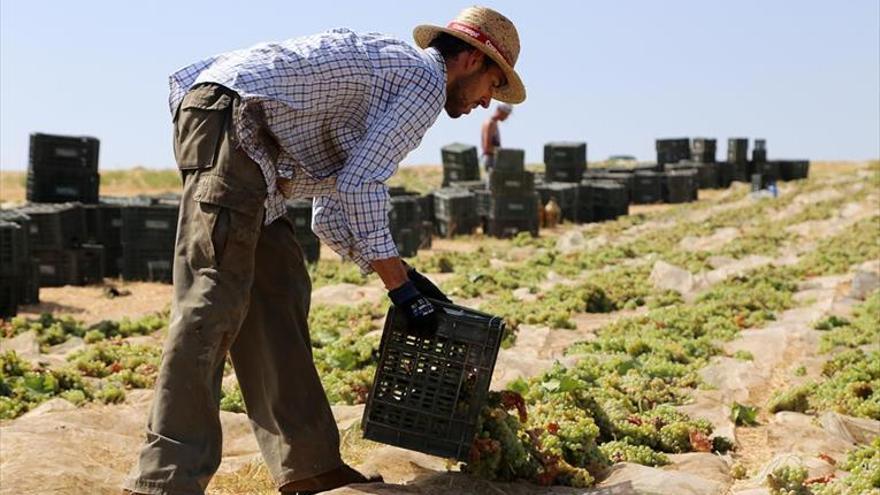 Aumento de jornada y flexibilidad, los nuevos frentes del convenio del campo