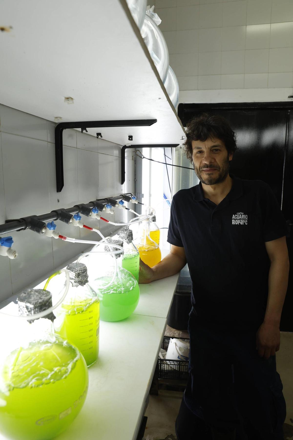 El trabajo de los profesionales del Acuario de Gijón, que alcanza sus 20 años de actividad, en imágenes.