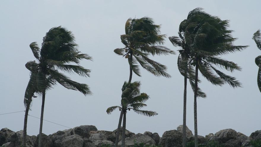 El viento en el planeta se está debilitando y este es el motivo