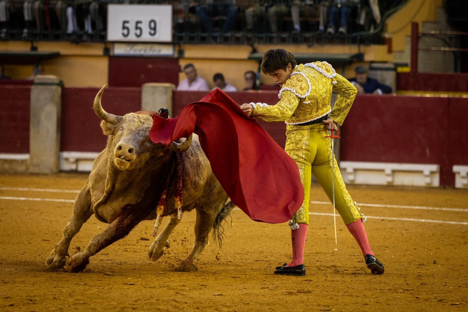 EN IMÁGENES | Corrida de toros en La Misericordia con Fernando Adrián, Cristiano Torres y Sebastián Castella