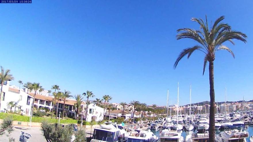 Die Sonne scheint, die Palme steht gerade: Port d&#039;Alcúdia am Mittwochvormittag (29.3.).