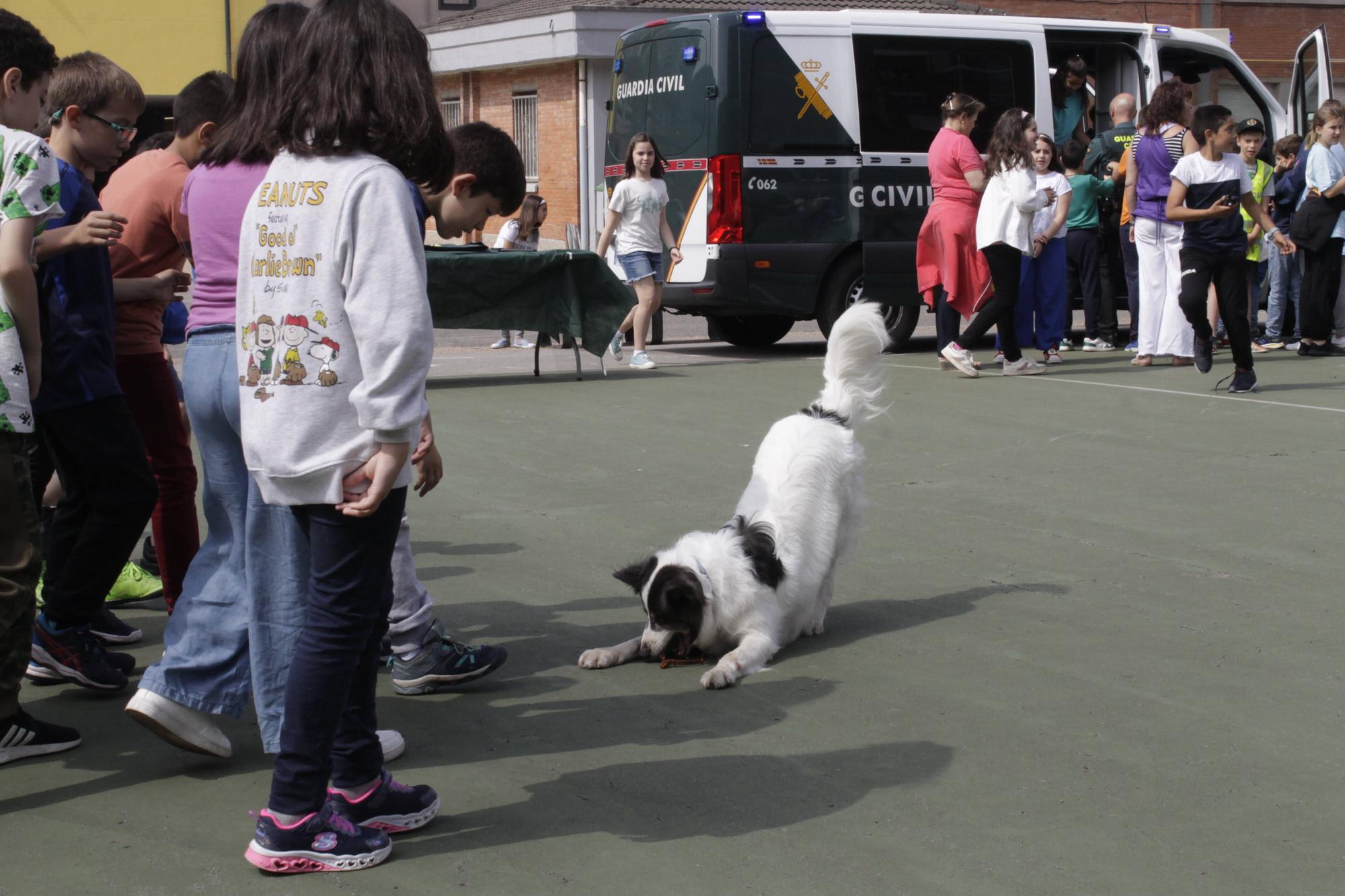 La visita de la Guardia Civil al colegio gijonés de Laviada, en imágenes