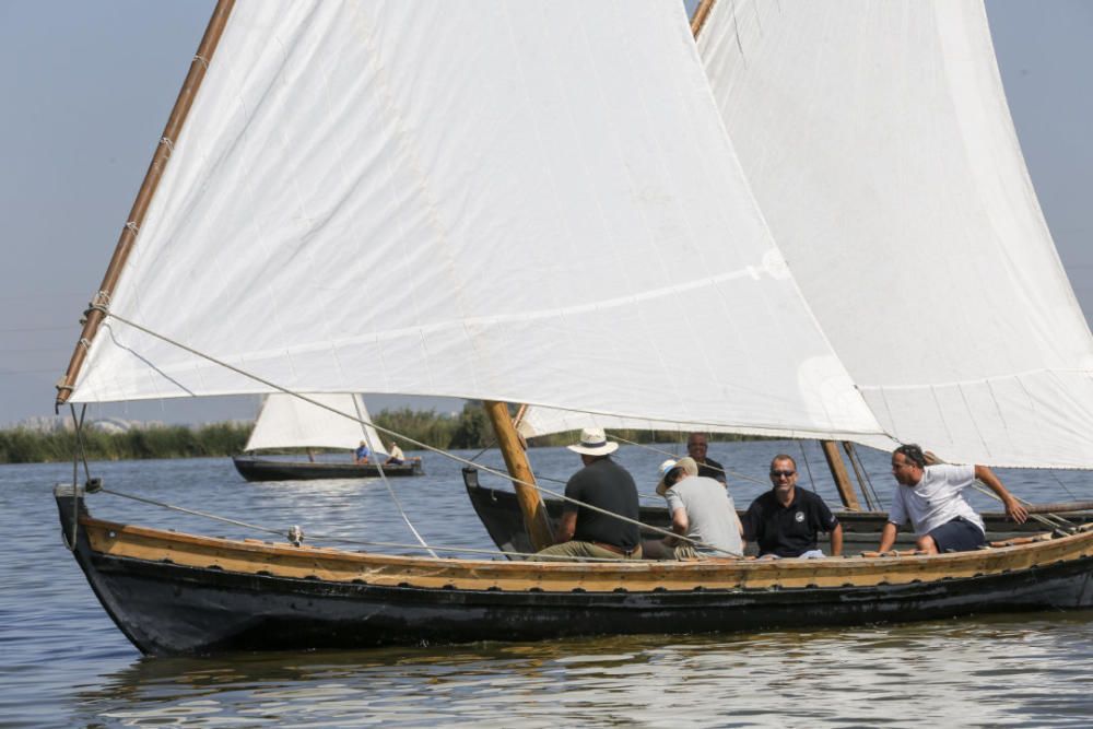 Regata-exhibición de vela latina en l'Albufera