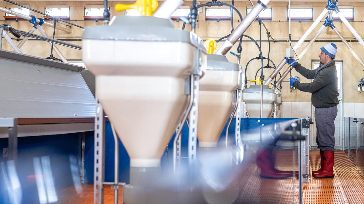 Un sector amb uns estàndards elevats de producció