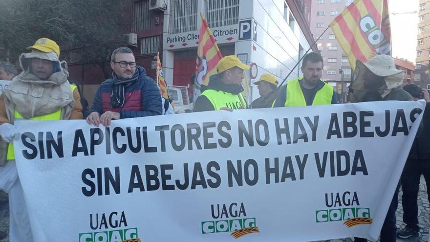 La sequía se lleva por delante &quot;casi&quot; toda la cosecha de miel en Aragón