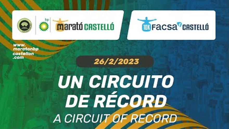 Sigue en directo el Marató bp Castelló y 10K Facsa 2023 este domingo 26