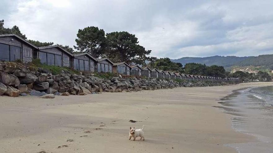 Los bungalós del camping, junto a la playa de A Ladeira. // Marta G. Brea