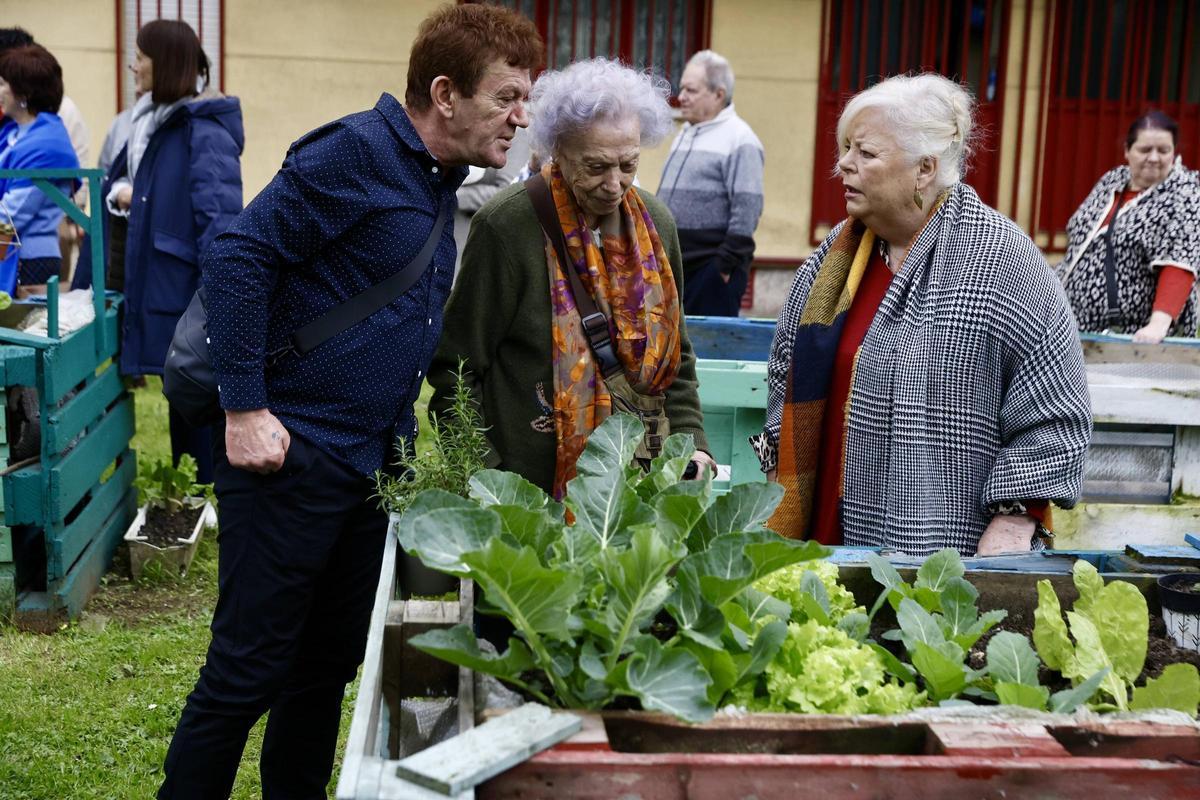 El nuevo huerto urbano de la zona oeste de Gijón, en imágenes