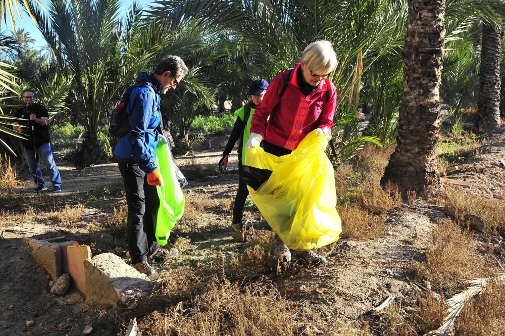 Limpieza de huertos para proteger el Palmeral