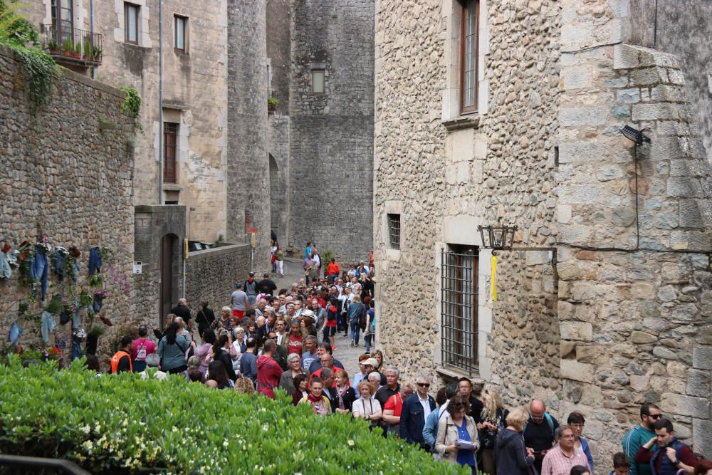 Girona, Temps de Flors 2019