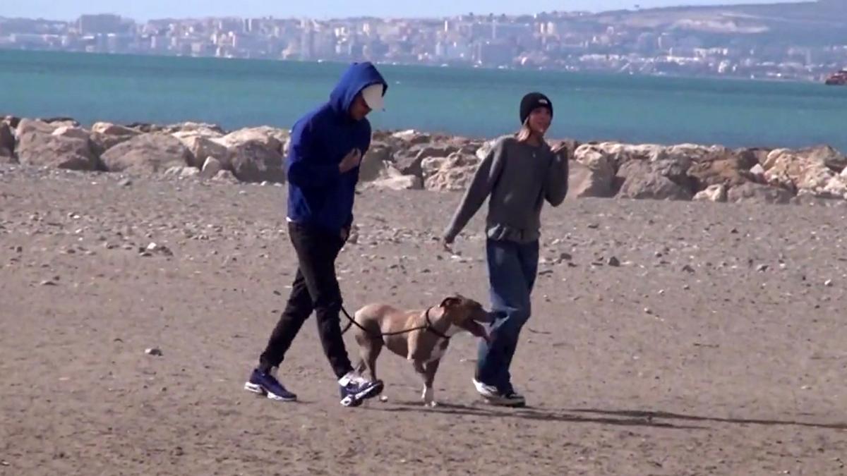 Alejandra Rubio y Carlo Constanzia pasean frente al mar durante su