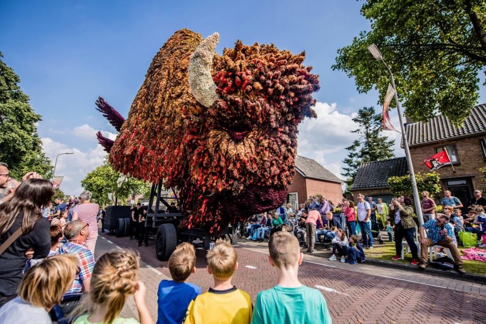 Batalla de Flores holandesa de 2017