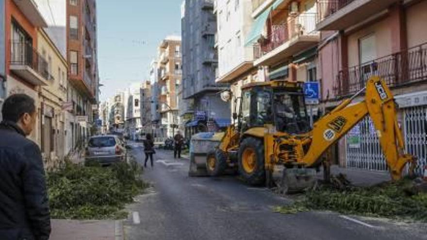 Un ciudadano observa los trabajos de la máquina excavadora con restos de árboles caídos.