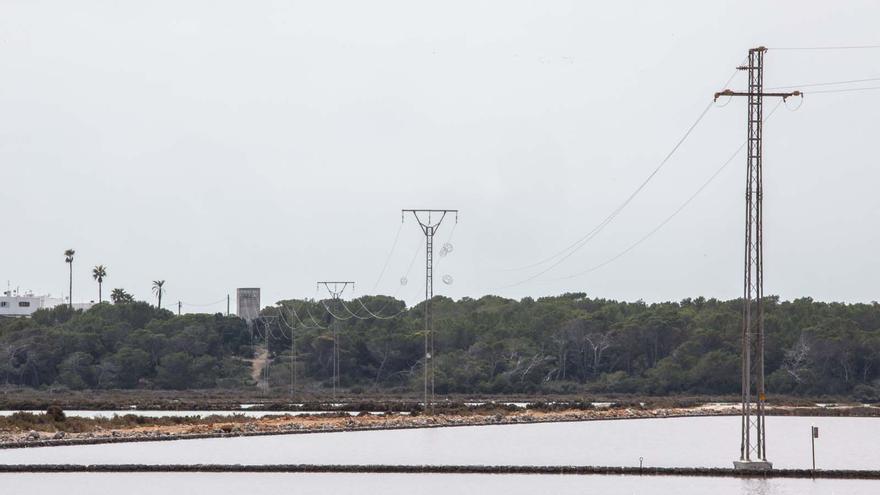 Los tendidos mortales para los flamencos en ses Salines de Ibiza tenían que estar enterrados desde 2009