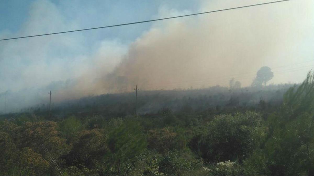 Imágenes del incendio en Vilopriu, Girona