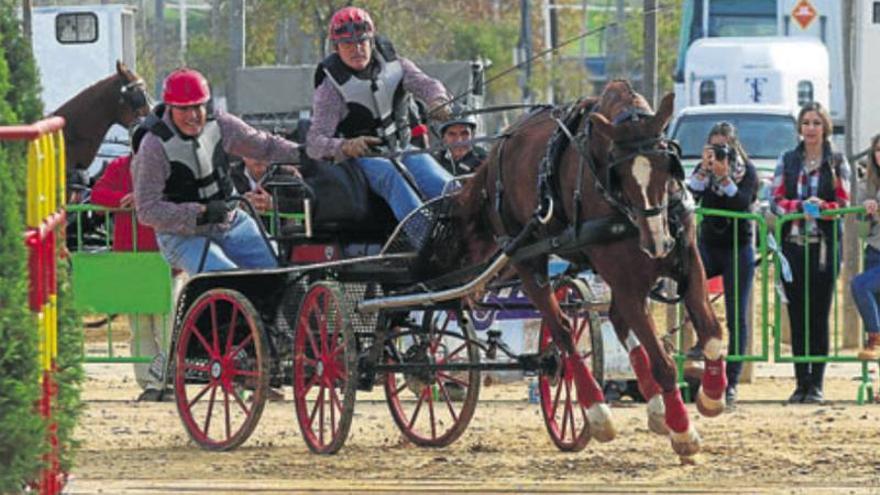 La Ruta Sur del Califato arranca el sábado en Luque con 13 equipos