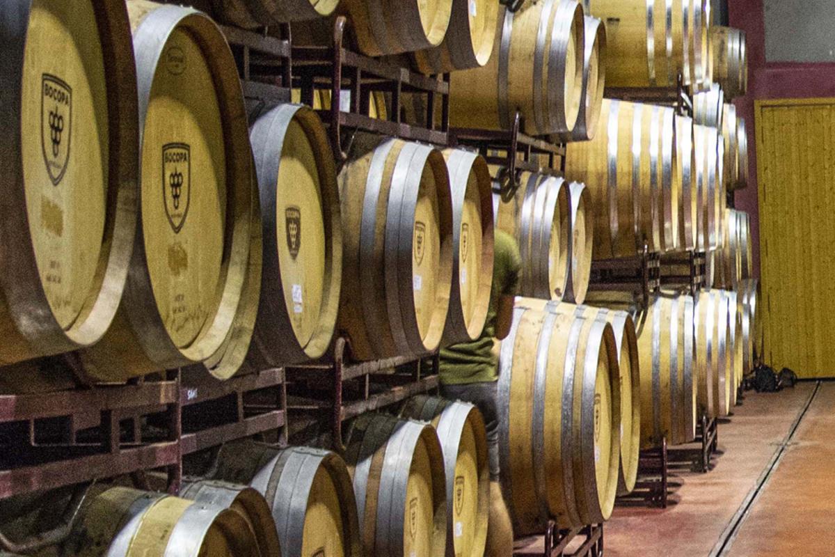La sede de Bodegas Bocopa se encuentra en el término de Petrer, Alicante.