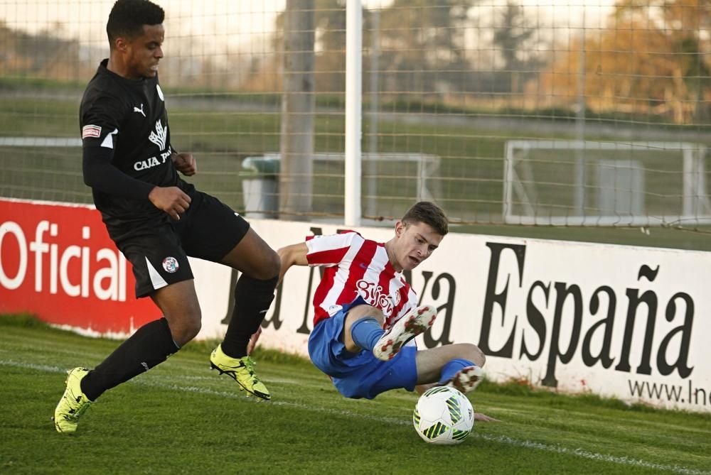 Copa Federación: Sporting B - Zamora