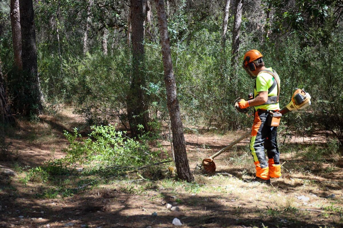 Un trabajador realiza desbroces en una zona forestal.