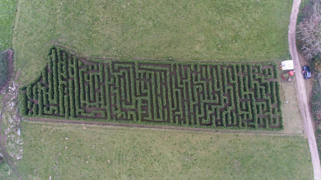 Un laberinto vegetal en Llanes aspira a ser el mayor de España