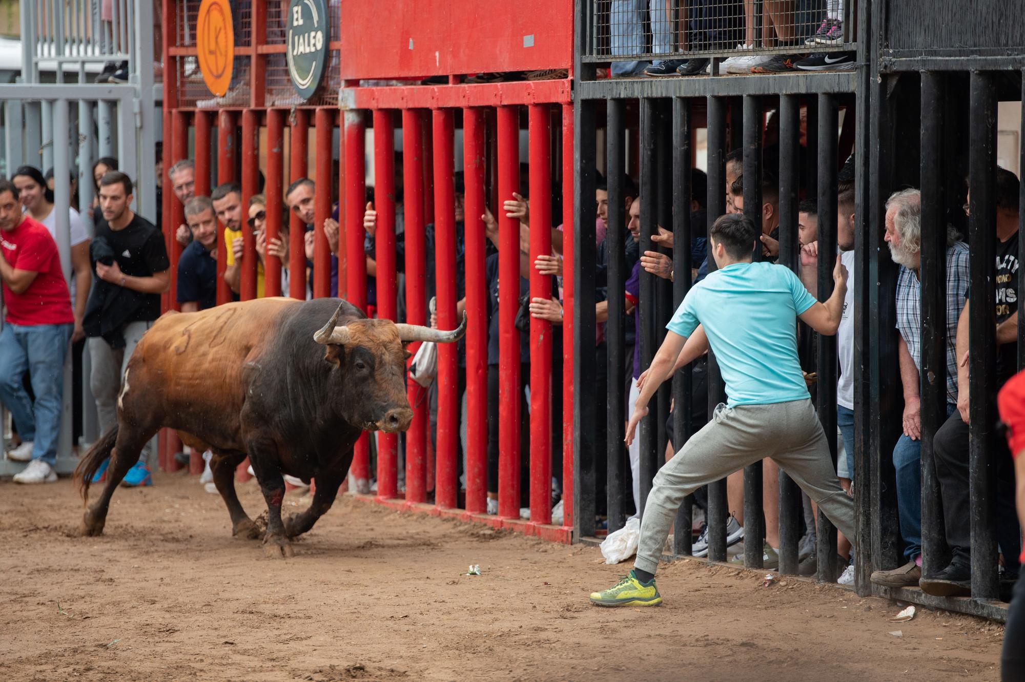 Las fotos de una tarde taurina de Almassora de luto y pasada por agua