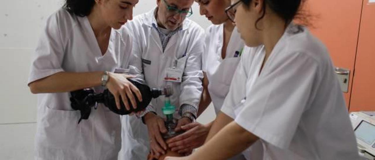 Alumnos en prácticas de la carrera de Enfermería durante una de sus jornadas en el Hospital General de Elche.