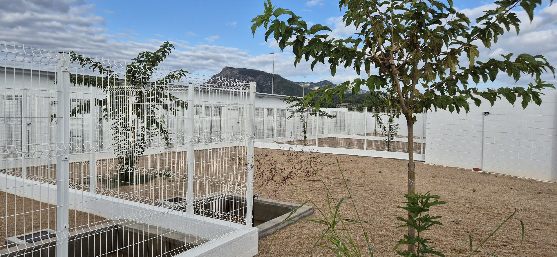 Inauguración del Centro de Acogida de Animales de la Safor en Tavernes de la Valldigna