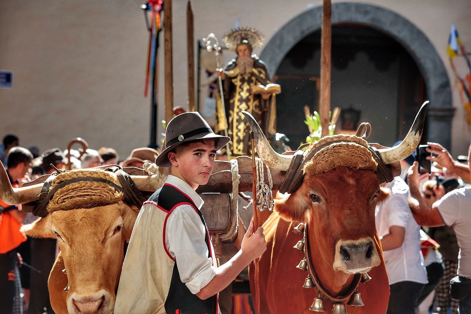 Romería San Antonio Abad en Arona