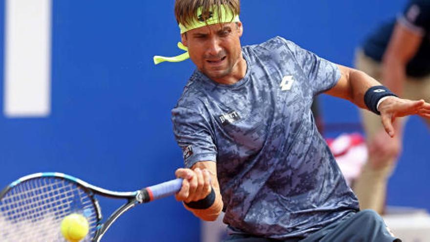 David Ferrer