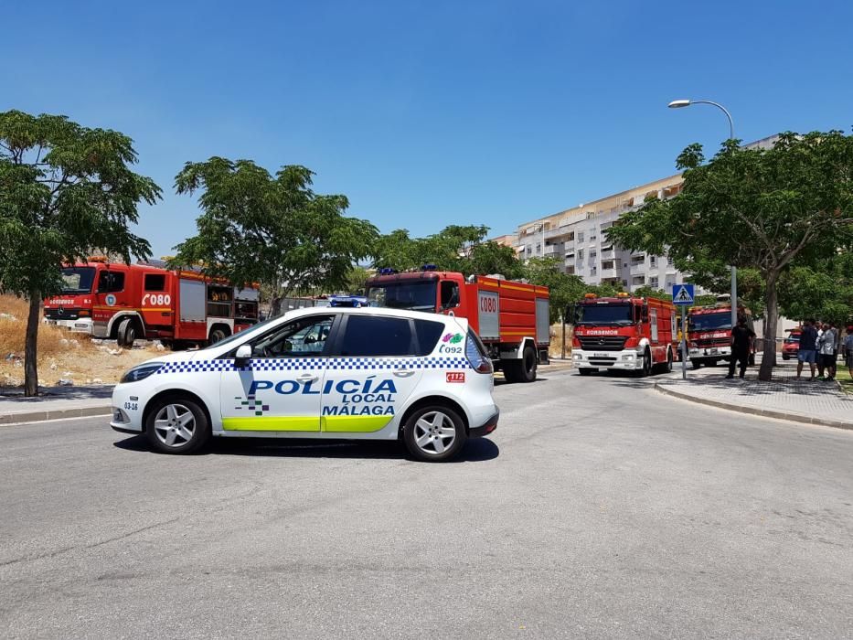 Declarado un incendio forestal en Monte Coronado