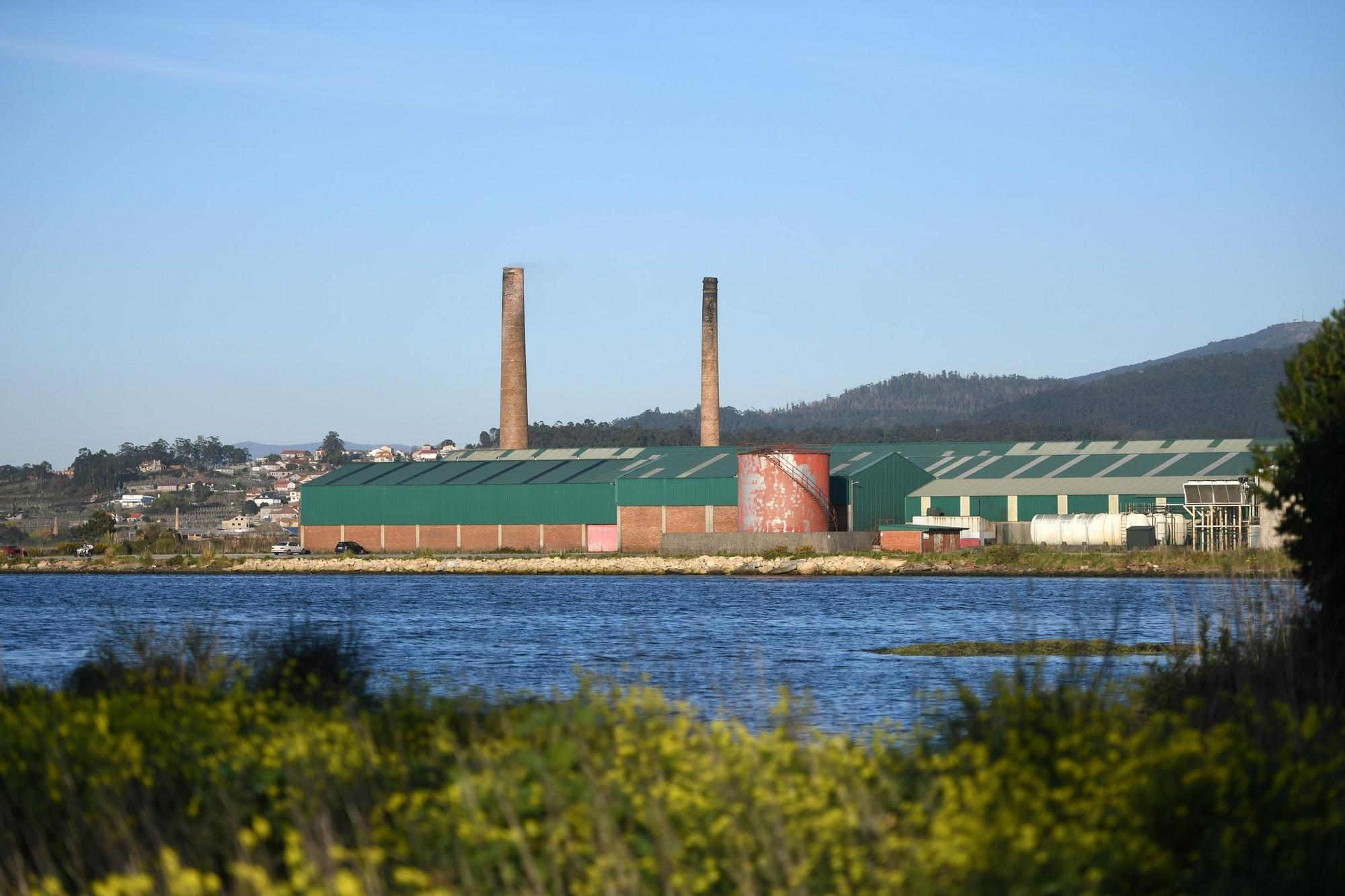 La ensenada de Arnosa, una joya histórica y ambiental