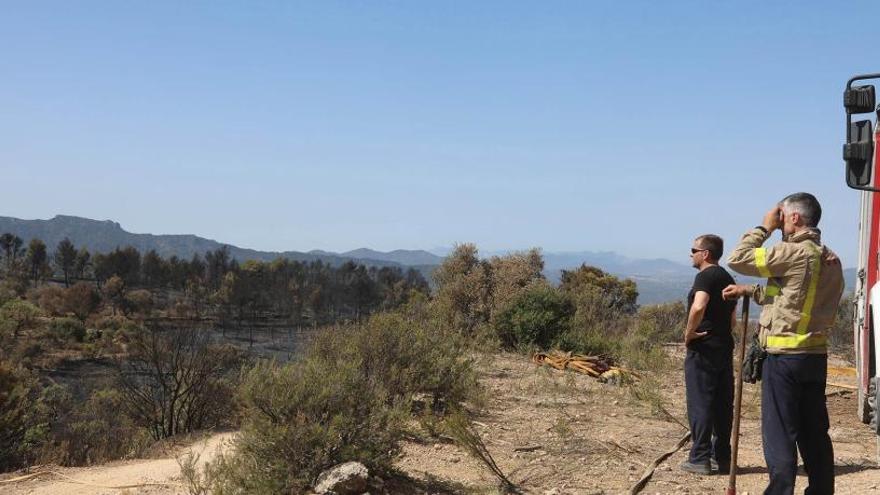 Bomberos en la zona del incendio de la Ribera d&#039;Ebre.