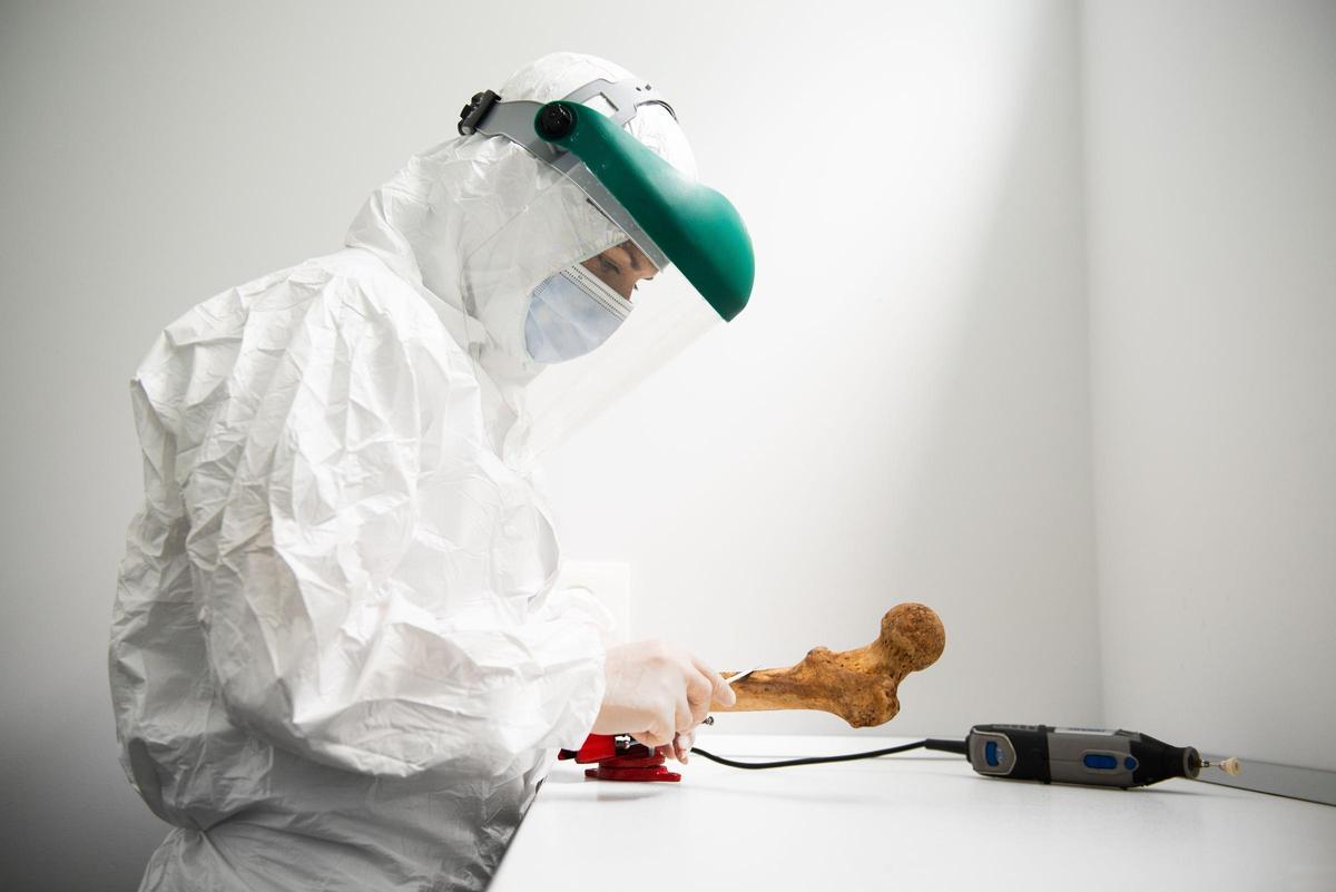El laboratorio Citogen, en Zaragoza, encargado del análisis de restos de víctimas de la guardia civil y el franquismo