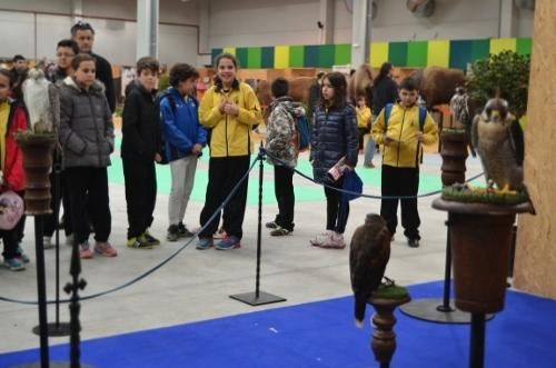 VI Feria de la Caza y la Pesca en Benavente