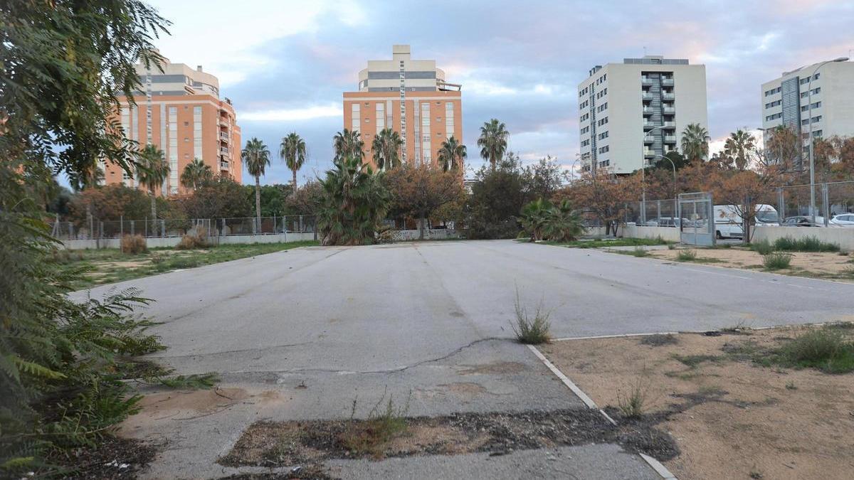 La parcela donde se ubicará el colegio número 56 de Alicante el próximo curso, situada en la zona de El Pla-Garbinet.