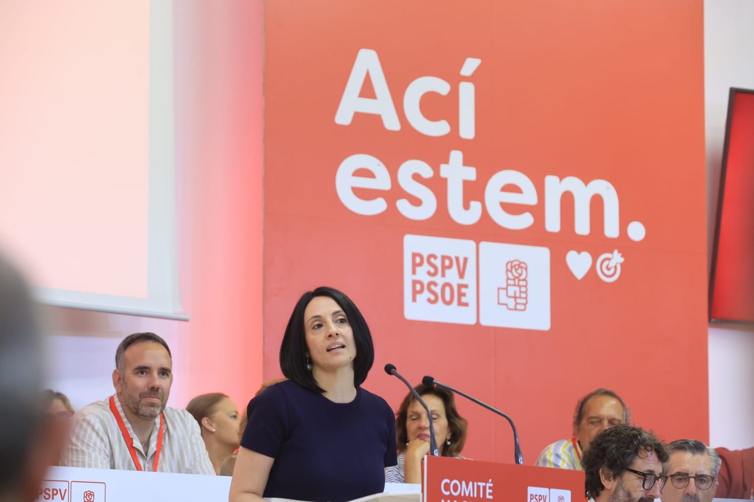 Todas las fotos del Comité Nacional del PSPV en València